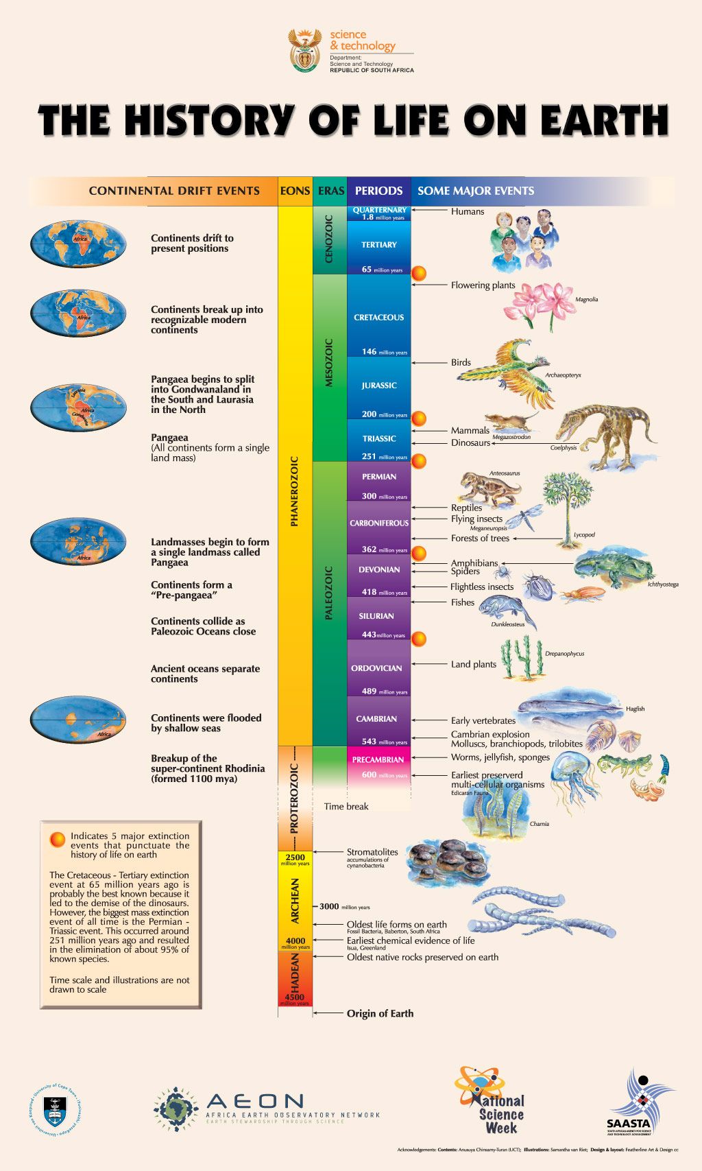 Evolutia vietii