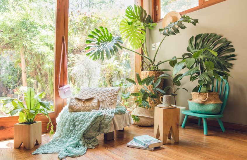 Descopera frumusetea decoratiunilor exotice pentru a-ti transforma casa intr-un paradis tropical!